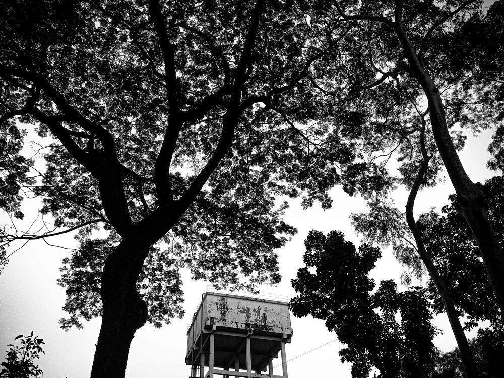 Photograph by Md. Shihab Sikder