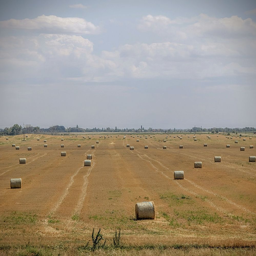 Photograph by AlexaL