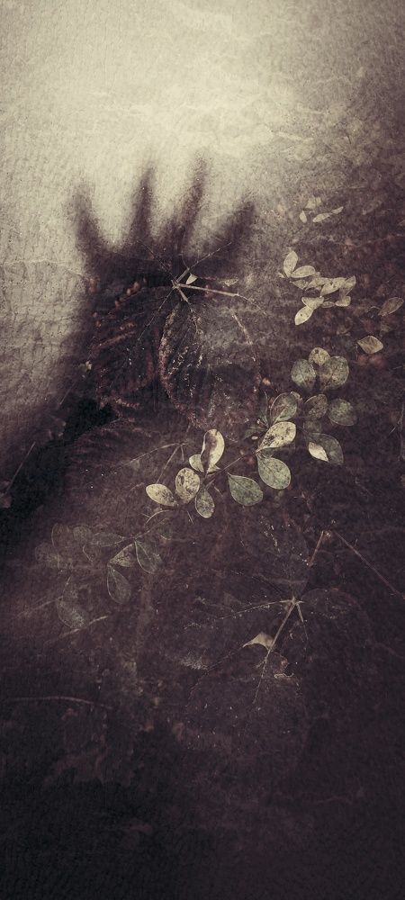 Photograph by Ольга Богорад