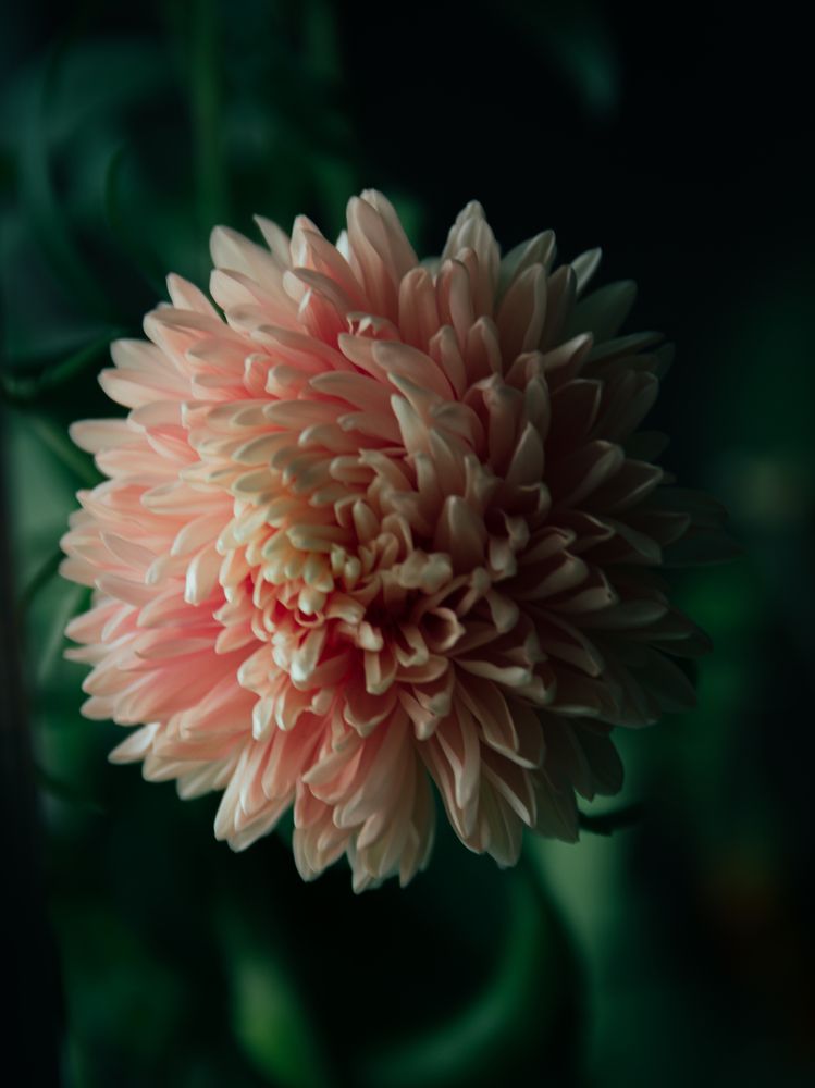 Photograph by Эрик Зибров