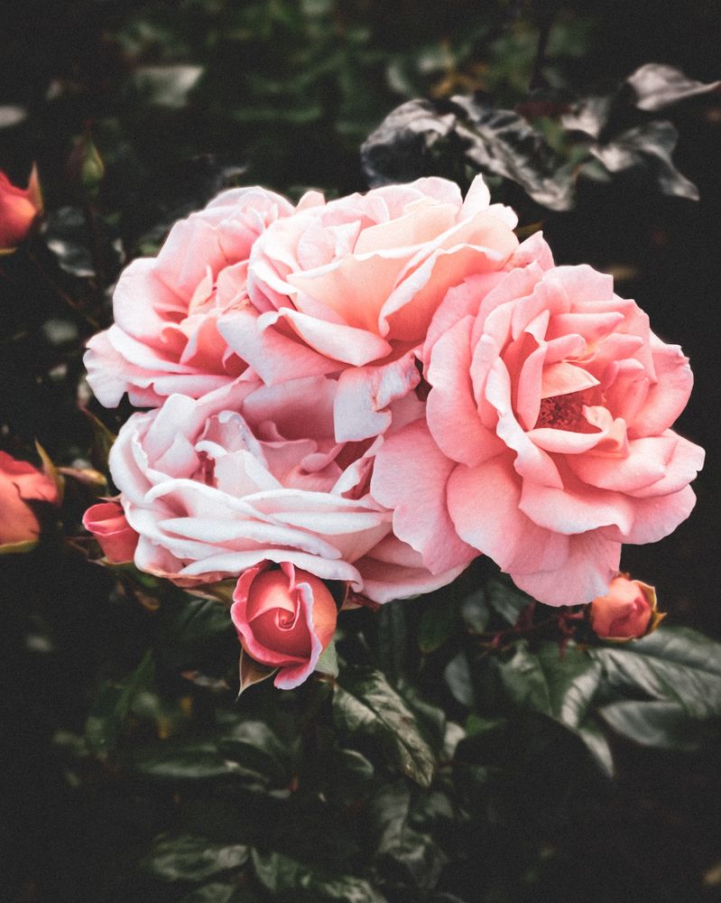 Photograph by Эрик Зибров