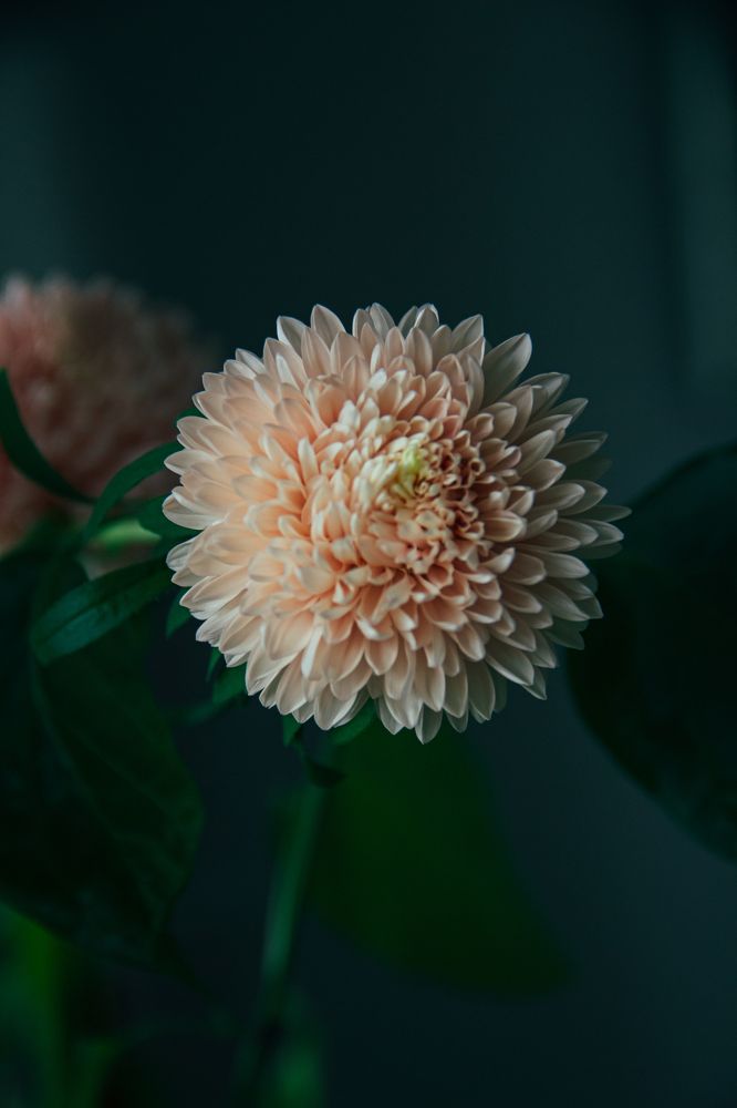 Photograph by Эрик Зибров