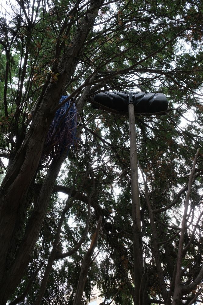 Photograph by Артём Воронин