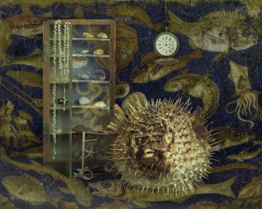 Фотография автора ТАТЬЯНА ЗАХАРОВА