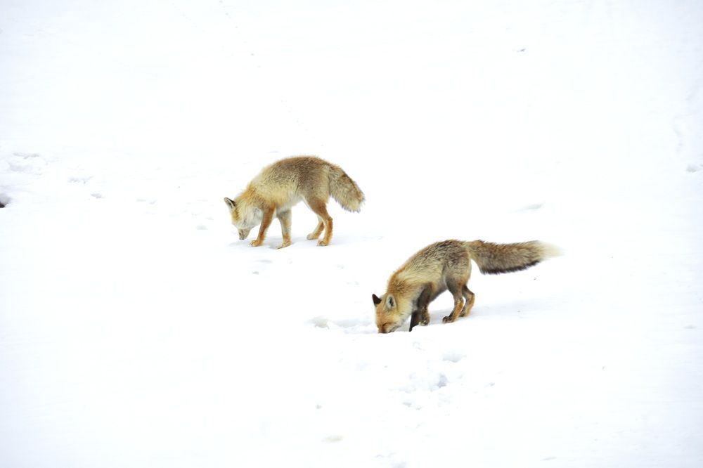 Photograph by Binh Khiem Nguyen