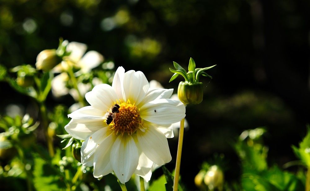 Photograph by Артём Воронин