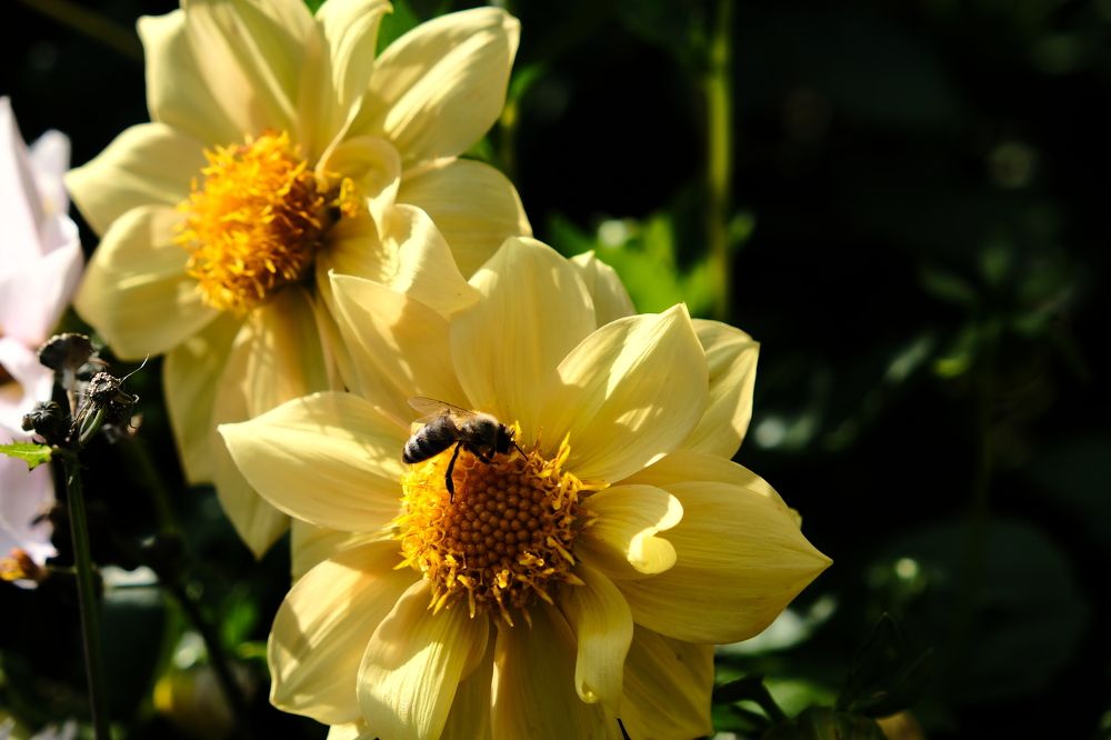 Photograph by Артём Воронин