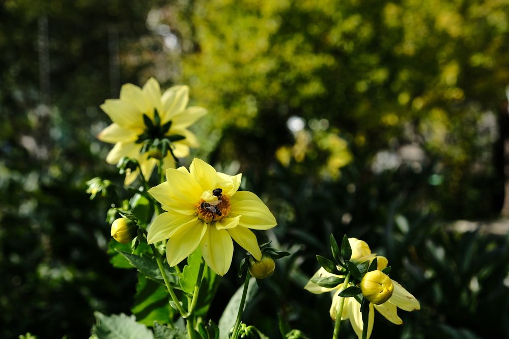 Photograph by Артём Воронин