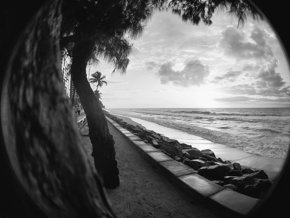 Photograph by CRINALDO REIS