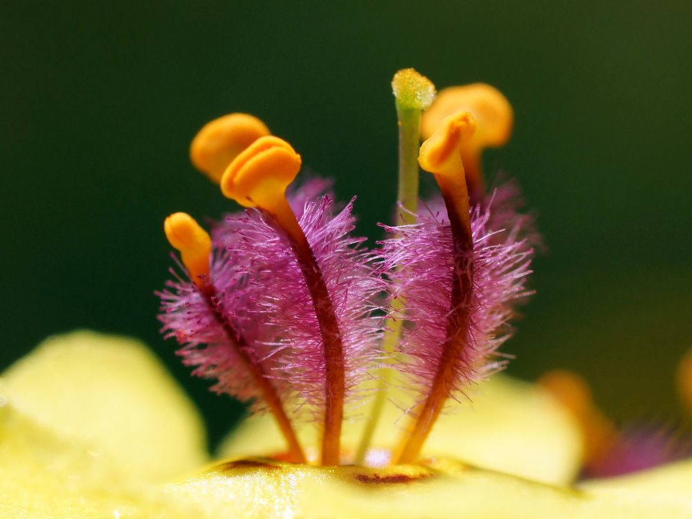 Photograph by Алексей Андреев