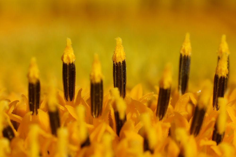 Photograph by Алексей Андреев