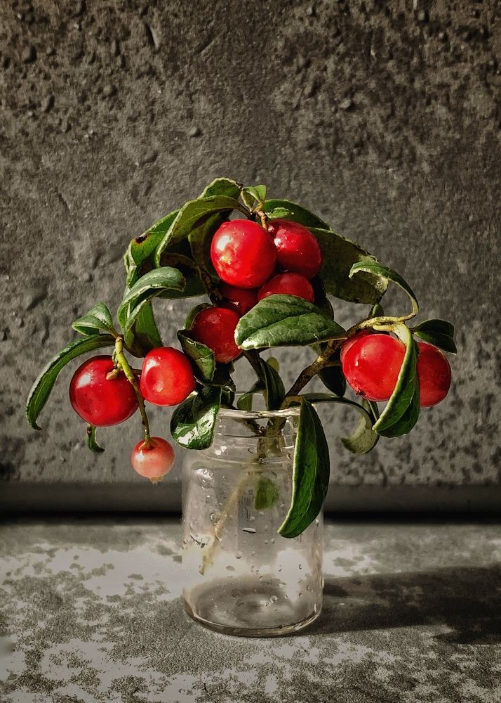 Photograph by Надежда Смирнова