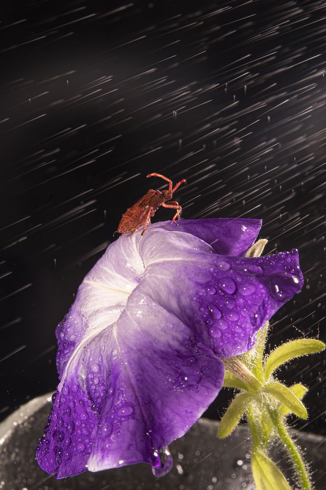 Photograph by Екатерина Бурикова