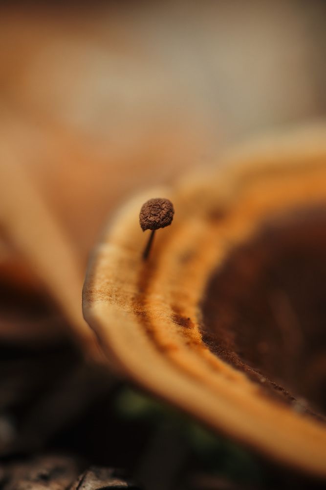 Photograph by Анна Бобкова