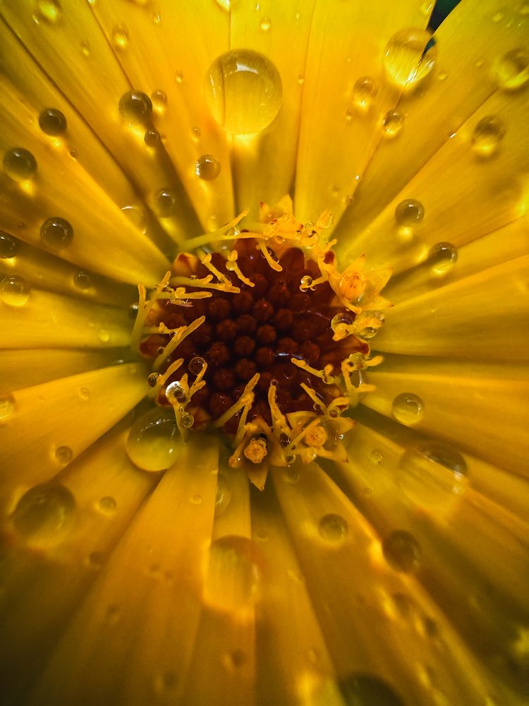 Photograph by Дина Чехова