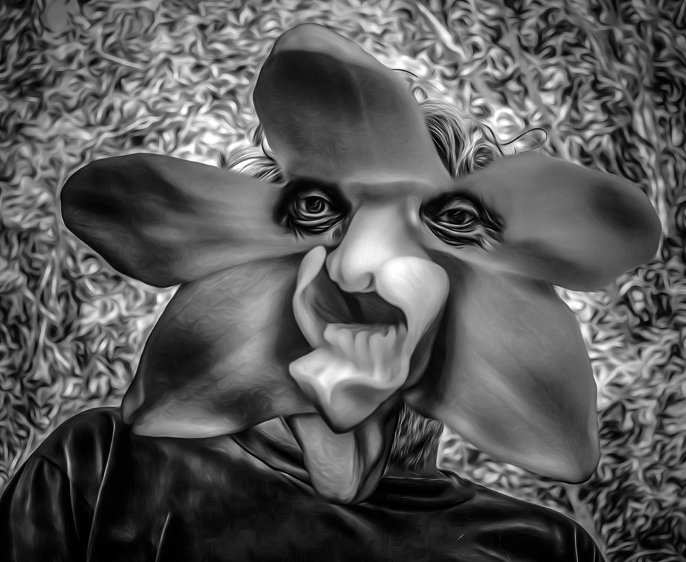 Photograph by Ricardo Kimmich