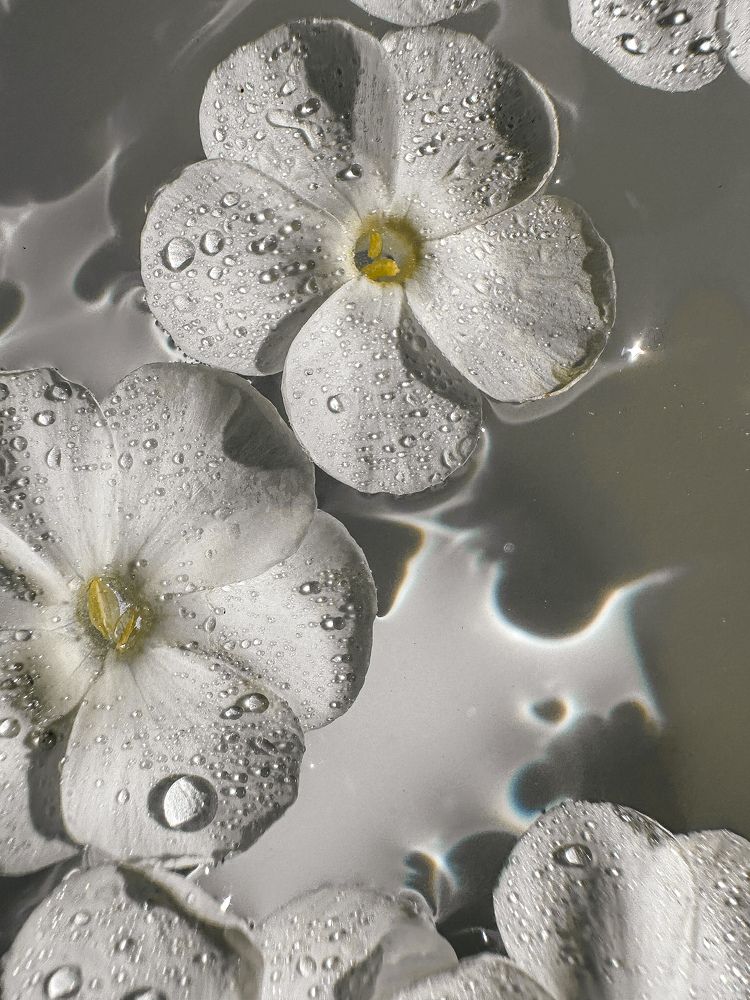 Photograph by Дина Чехова