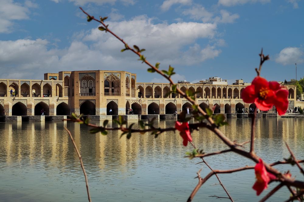 Photograph by asma dafeian