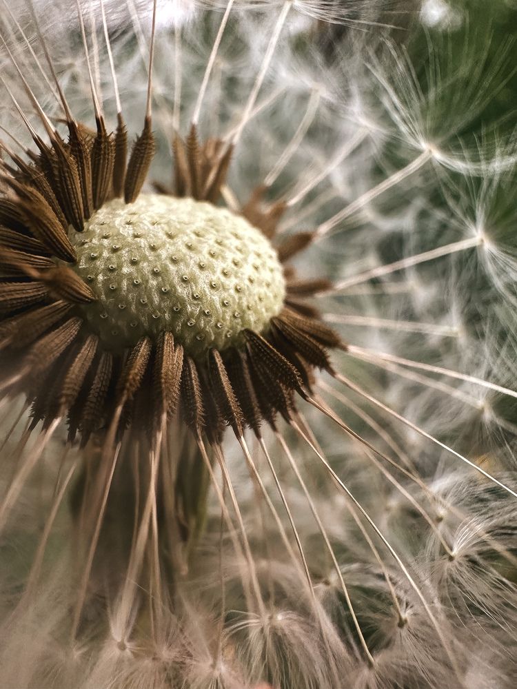 Photograph by Дина Чехова