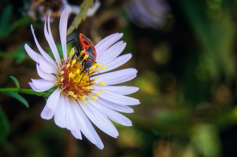 Photograph by Загруев Михаил