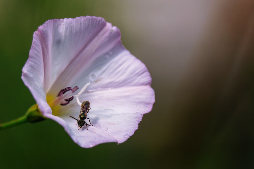 Photograph by Загруев Михаил