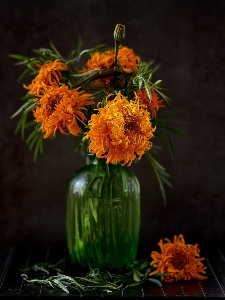 Фотография автора Evgeniya Ivanova