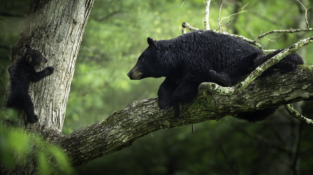 Photograph by Miller Dave