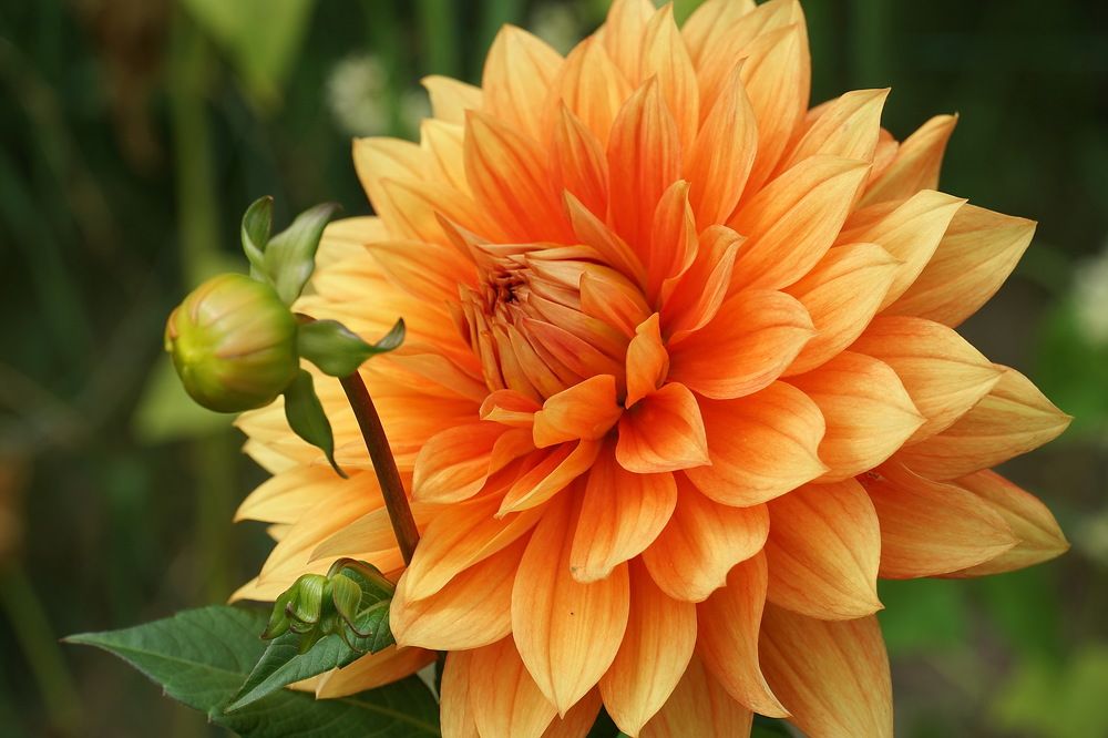 Photograph by Галина Кан