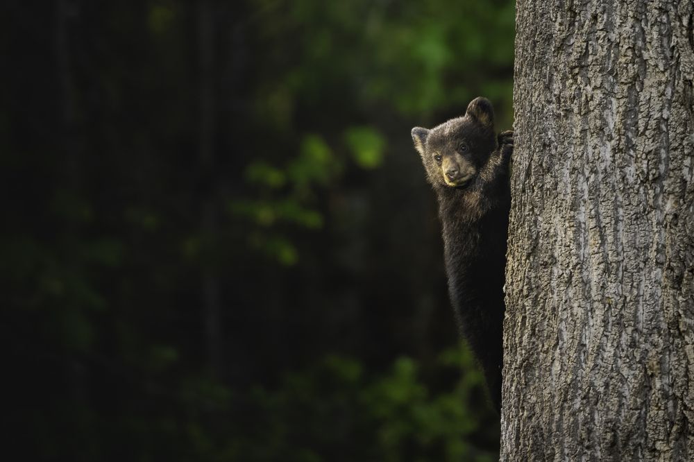 Photograph by Miller Dave