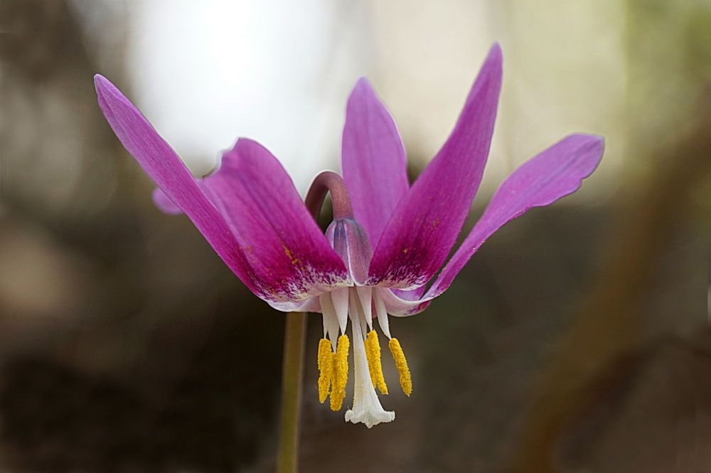 Photograph by Галина Кан