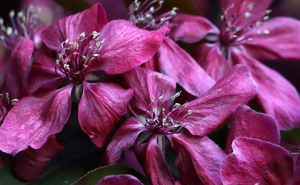 Photograph by елена