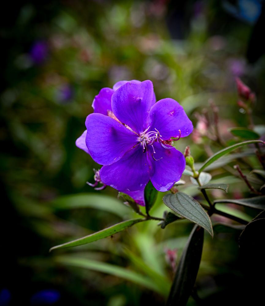 Фотография автора Marcus Mah Qing Fung