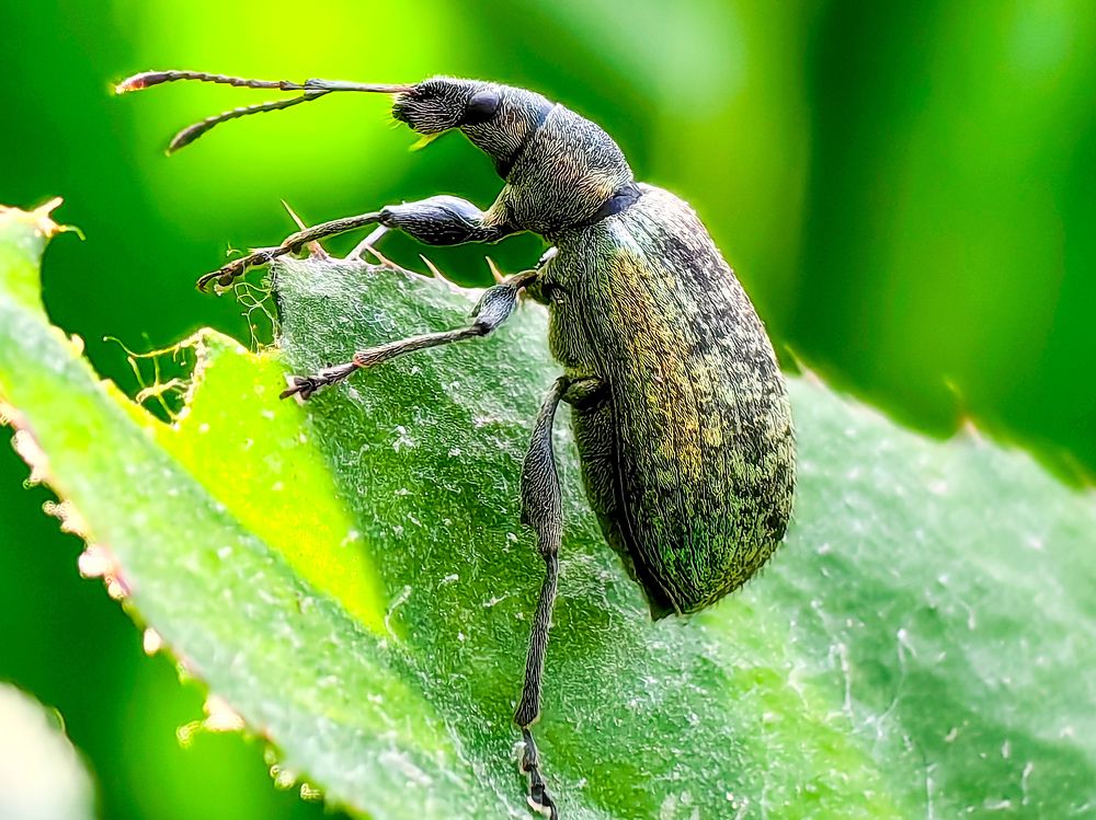 Photograph by Сергей Игнатьев