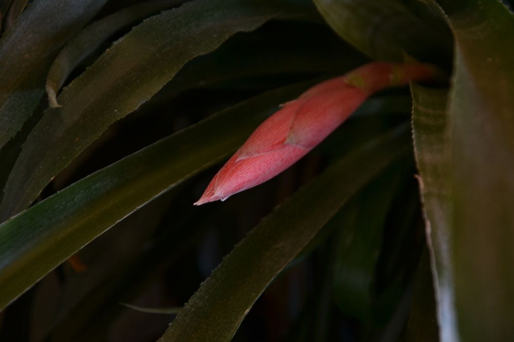 Фотография автора Ileana Andrea Gavinoser