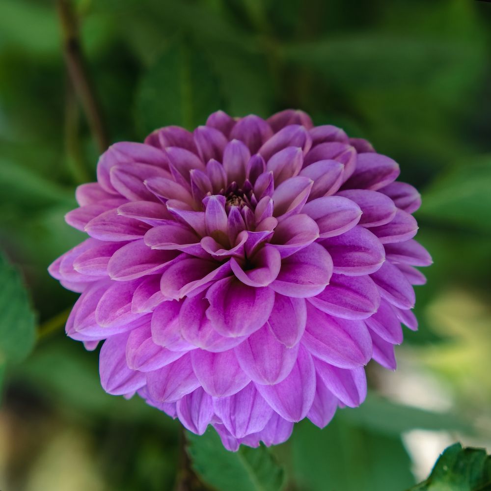 Photograph by Артём Воронин