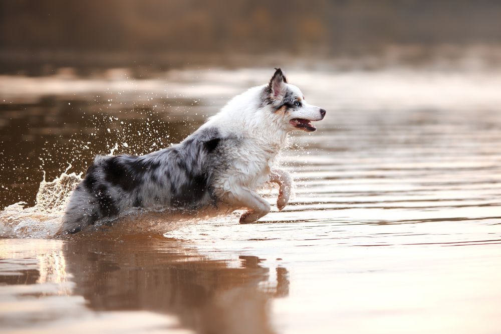 Photograph by Евгения Костусева