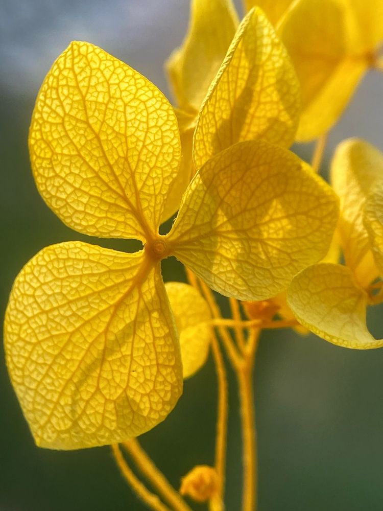 Photograph by Станислава Садыкова