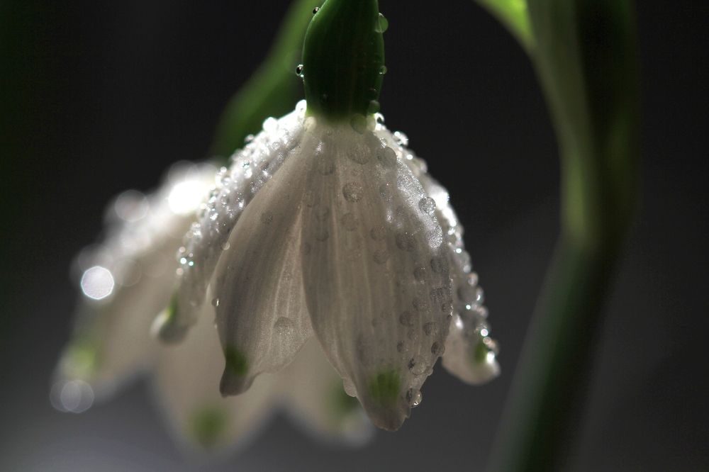 Photograph by Татьяна