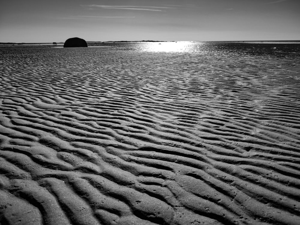 Photograph by Алёна Пшеленская