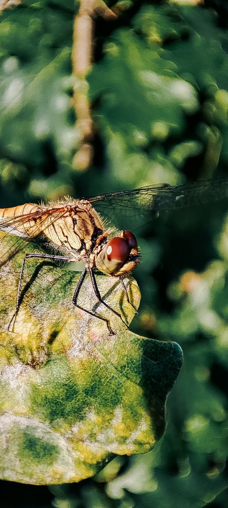 Photograph by Ирина Матюхина