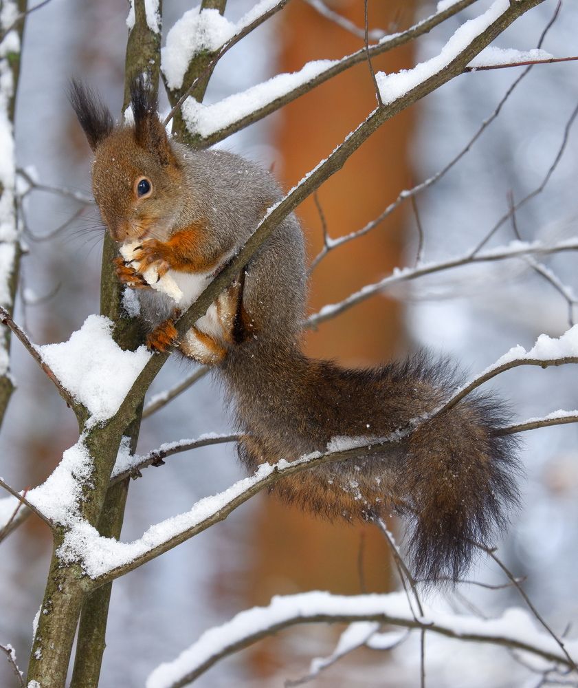 Фотография автора Elvijs Kalnins