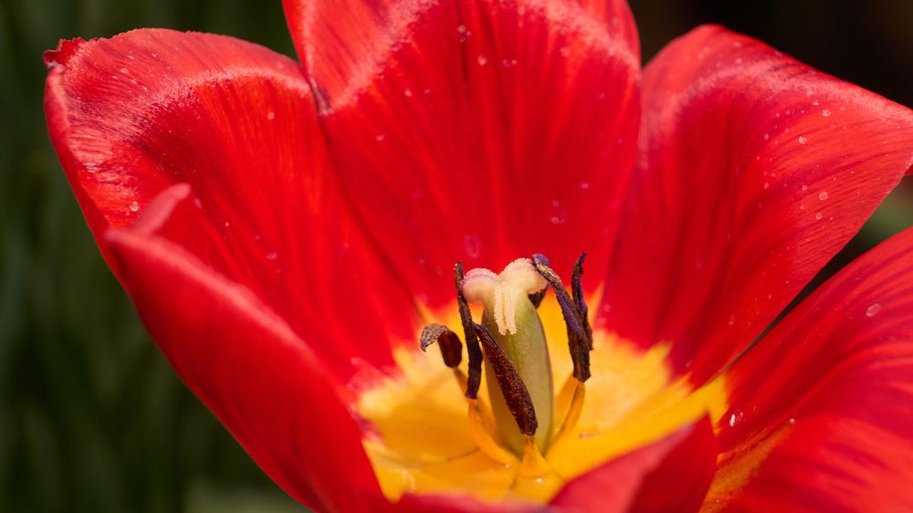 Photograph by Дмитрий