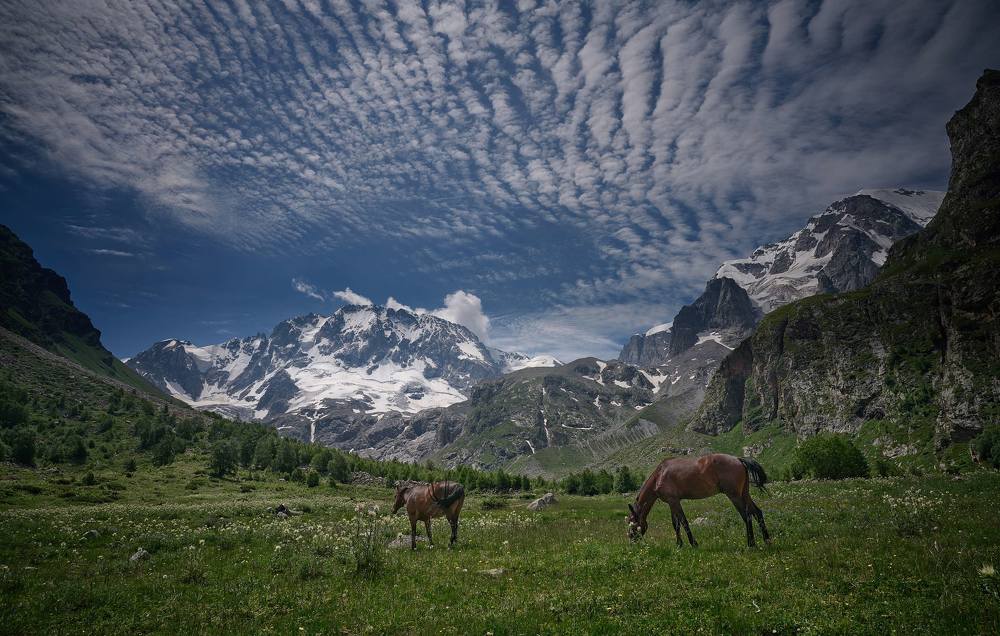 Уллу-тау и Чегет-тау чана.