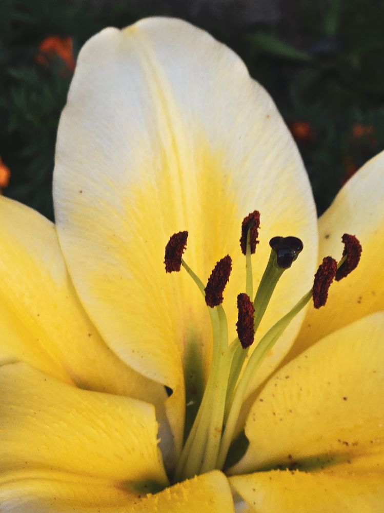 Photograph by Ольга Дёмина