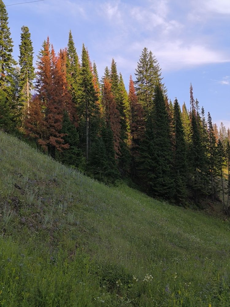 Photo #10921369