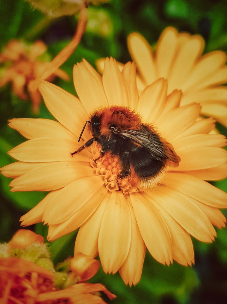 Photograph by Anastasia Uraeva