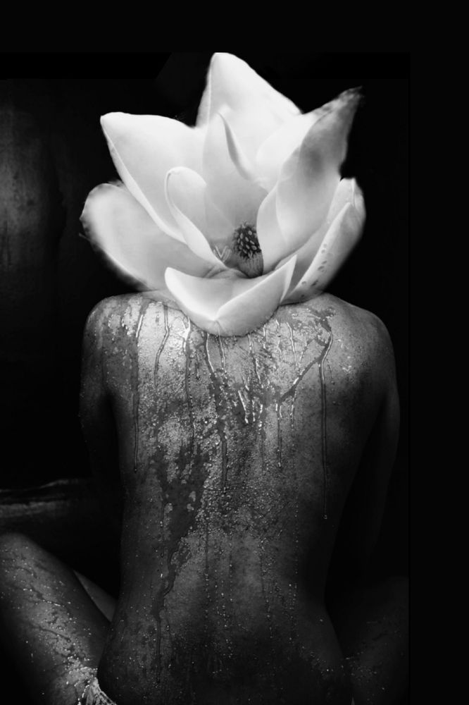 Фотография автора Laura Lemus