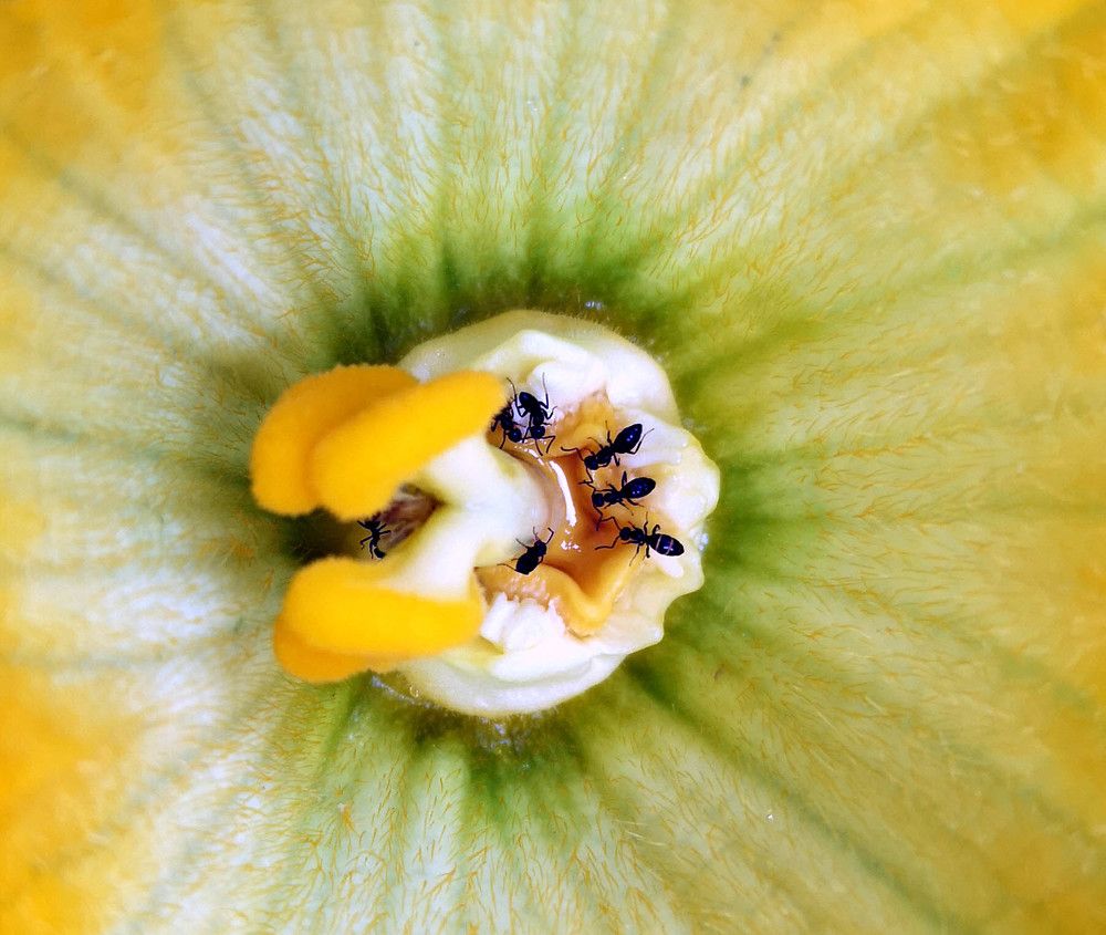 Photograph by Marina Razheva