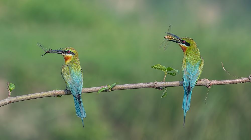 Photograph by Md Rezwan