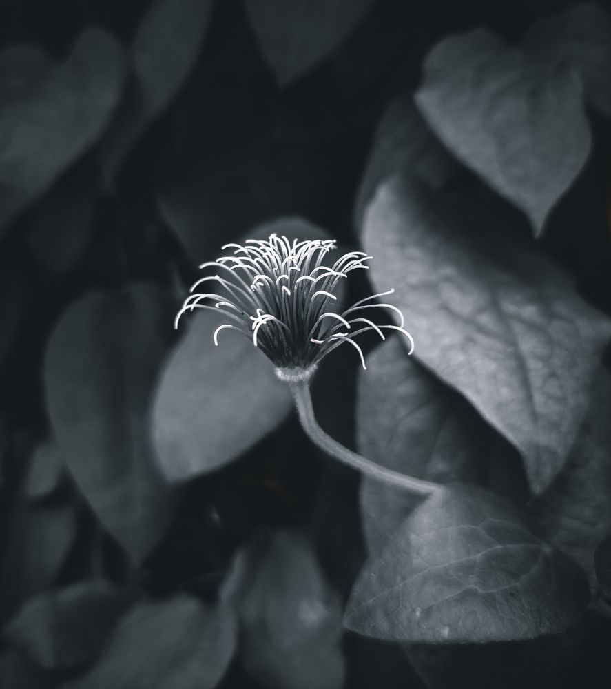 Photograph by Кристина Полякова